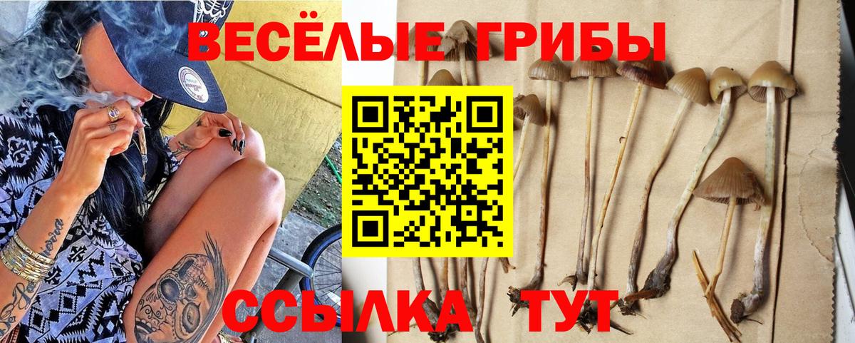 Галлюциногенные грибы прущие грибы Славянск-на-Кубани
